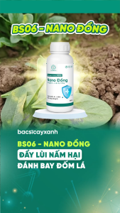 BS06 Nano Đồng Diệt Nấm Phòng Đốm Lá Sương Mai 100ml 250ml 500ml - Tẩy Rửa Vườn - Bác Sĩ Cây Xanh