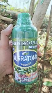 Pupuk NPK NURRATONIX 500 ML: Solusi Terbaik untuk Meningkatkan Produksi Anakan Padi