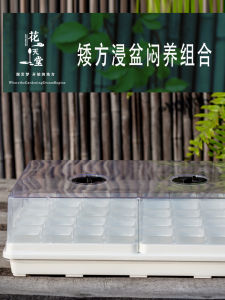 Thickened Plastic Transparent Low Flower Pots: A Comprehensive Guide