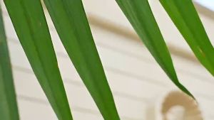 2025 New High-Speed 100 Handheld Fan Outdoor Portable Digital Display Rechargeable Fan mini fan high power Strong Wind Small Fan Cannon