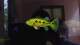 HomeFish_