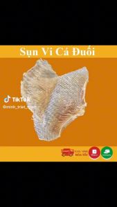 Sụn Vi Cá Đuối -GIÒN SỤN SỤN - MINH TRIẾT FOOD