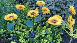 โคมไฟ LEDพลังงานแสงอาทิตย์ รูปดอกทานตะวัน กันน้ำ ไฟปักสนาม โคมไฟปักพื้นสวน สําหรับตกแต่งสวน ทางเดิน สนามหญ้า บิลค่าไฟ 0 บาท