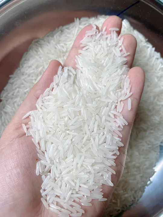 HCM túi 5kg gạo St25 lúa tôm đậm vị cơm