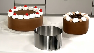 ⭐️【Local warehouse+COD】⭐Stainless Steel Adjustable Expandable 6-12 Inch Cake Mousse Ring Baking Tool Mousses Cake Mold With Scale Non-Stick Baking Tool For Pastry Making Home Goods Kitchen Tools