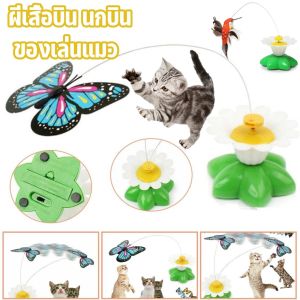 BHQ PET พร้อมส่ง ผีเสื้อบิน นกบิน ผีเสื้อล่อแมว นกล่อแมว ใส่ถ่าน AAA บินอัตโนมัติ - 5 รายการ เสริมสร้างสุขภาพ