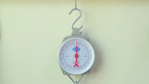 Heavy Duty - Hook Type Weighing Scale 200kg Hanging Scale with Portable Design for Household & Farm