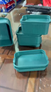 Bộ khay nhựa trồng rau sạch thủy canh rau mầm giá đỗ loại dày dặn đẹp kích cỡ 20x12.5x11cm