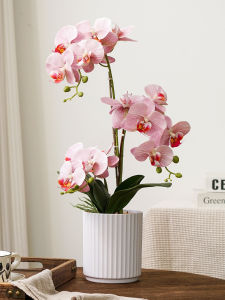 ต้นไม้ดอกไม้เทียม ต้นไม้ดอกไม้สีม่วง ตกแต่งบ้าน ตกแต่งโต๊ะเครื่องแป้ง ช่อดอกไม้เทียม ช่อดอกไม้เทียมแบบสมมาตร ตกแต่งบ้าน ร่มไม้ วัสดุอื่น ๆ