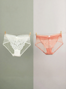 Lace French Style Attractive See-through Cotton Crotch Womens Briefs