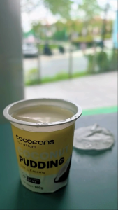 Pandan Coconut Pudding