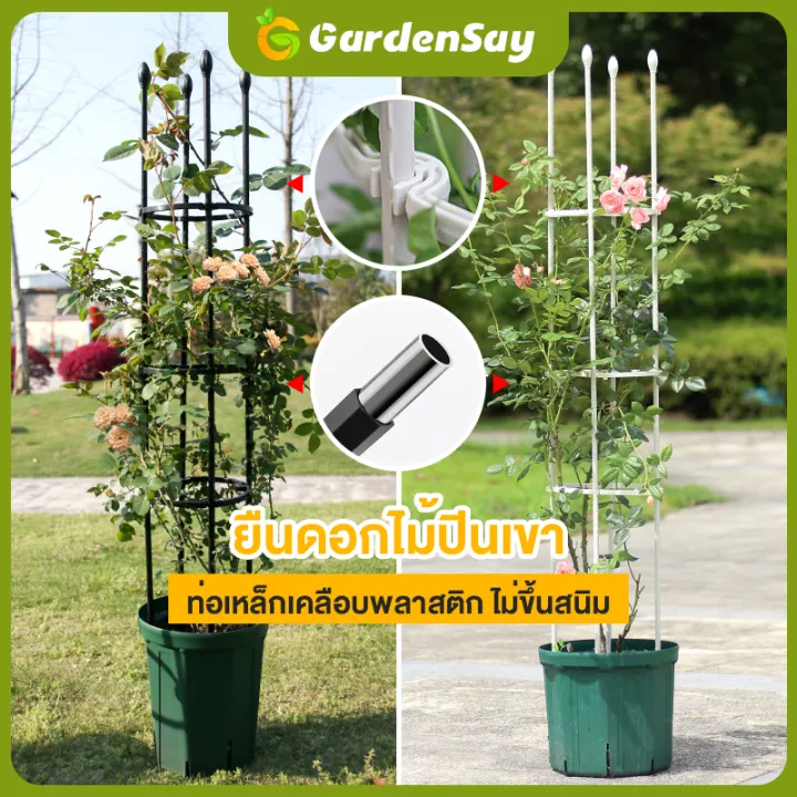 ซุ้มไม้เลื้อยเหล็กเคลือบ PE หลากขนาดสำหรับพืชปีนป่าย