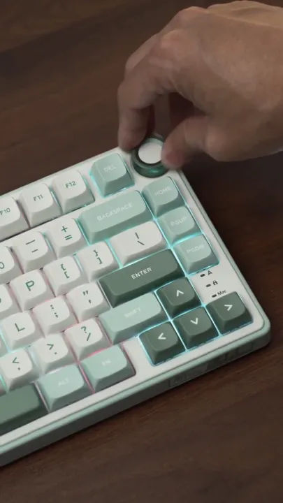 RK Royal Kludge R75 Hot Swappable Mechanical Keyboard RGB Gasket Mount Gaming Keyboard with Volumn Knob PBT Keycaps Custom Keyboard for Computer