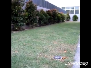 Đầu phun nước pop-up Rain Bird 1804 Van 18 tưới cỏ sân golf sân bóng