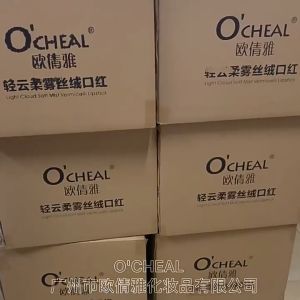 OCHEAL Foundation Moisturizing Concealer Cair Powder Waterproof dan Oil 30g