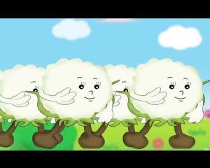 💗🙋♀️💗农科谷家稼发水溶肥植物生长调节功能营养功能增产优质高效吸收好