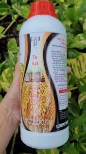 [VTNN TIEN KHOA] Phân bón lá KALI ĐEN đậm đặc giúp lúa nếp vô gạo nhanh chín chắc tới cậy hạt vàng sáng chắc chai 1 lít