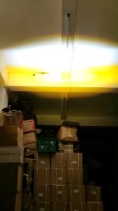 Lampu tembak sorot 2 mata Led laser gun SQL hi low putih kuning