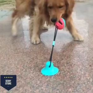 Mainan Hewan Peliharaan Gigitan Bola Anjing Kunyah Gigitan TPR Molar Suction Tempel Dog Permainan