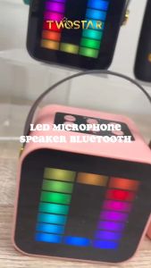 TWOSTAR Mic Speaker Bluetooth Mini Karaoke Wireless LED Graphic