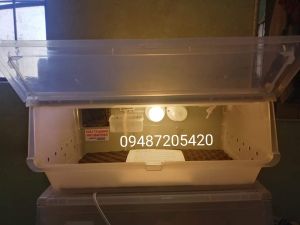 Pet Incubator for puppy and kittens