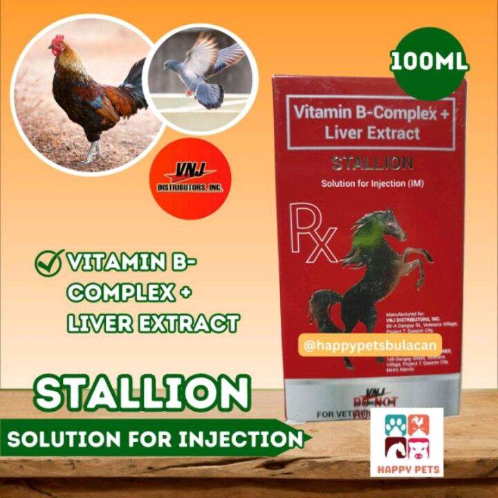 Stallion 100ml Vitamin B Complex | Lazada PH