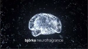 OPULENCE Bjorka Parfum Pria Wanita EDP 30ml | Minyak Wangi Tahan Lama | Perfume Neuroscience BPOM