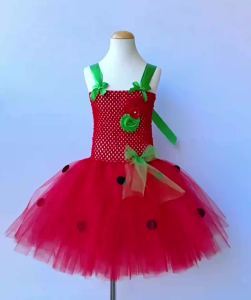 Red Strawberry Tutu Dress: A Sweet Costume for Baby Girls