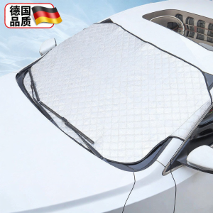 Leaves and Bird Droppings Preventing Car Cover