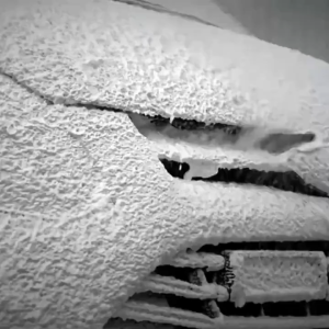 Car Wash Cleaning Body Brush 18PCS Car Brush Set Car Wash Precision Wheel Rims Special Brush Set Cleaning & Care