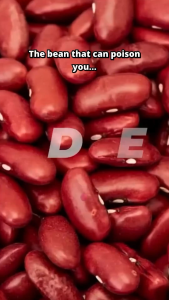 Red Kidney Bean 500g-1Kg (Premium Quality)