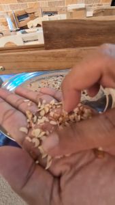 Alat Pengiris Kacang / Pencacah Kacang / Pemotong Kacang Tanah Kayu Jati tua