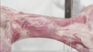 Bandsaw Blade Length 2240X16 Wide X 4T Bandsaw Blade for Cutting Bone  Bandsaw Blade 1/3 Pcs