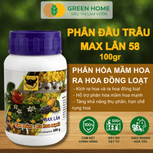 Phân Bón Đầu Trâu Max Lân 58 GreenHome Hũ 100gr – Siêu Kích Tạo Mầm Hoa Ra Hoa Đồng Loạt