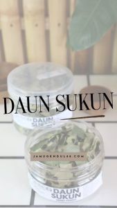 Daun Sukun Kering & Teh Daun Sukun: Manfaat dan Cara Penggunaan