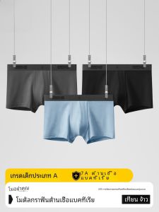 Loose Fit Modal Mens Boxer Shorts Breathable Antibacterial Thin Youth Large Size Briefs Flat Angle Underwear Comfortable Briefs