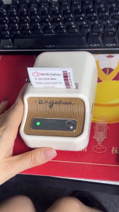 Niimbot B21Pro Label thermal Printer 300dpi Wireless Photos commercial household label Waterproof