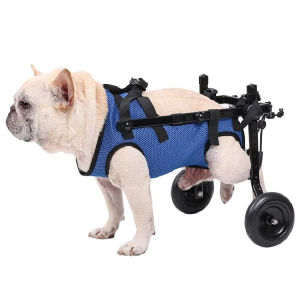 Adjustable Stainless Steel Pet Dog Cat Wheelchair: A Comfortable Walk Aid Cart for Injured Disabled Pets