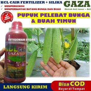Pupuk Cair KCL GAZA 500ML Obat Semprot Pelebat Bunga dan Buah Timun Mentimun Bonteng Paling Ampuh