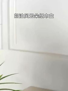 White Cloud Tissue Box Wall Mounted Detachable Tissue Storage Box with Holder Modern Facial Tissue Box