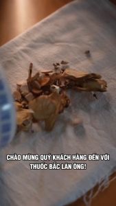 Dầu gió xanh Thiên Thảo 12ml hàng chính hãng dầu xanh xông xoa bóp giải cảm