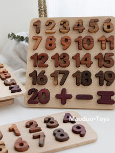 Prince Mom | Educational Wooden Puzzle Board English Pinyin Learning Early Childhood Development