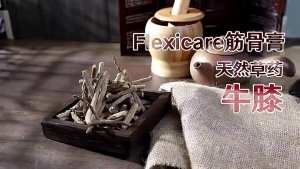 Super promotion【Buy 3 get 1 free】FlexiCare 筋骨膏Flexicure 1 botol x20g 颈椎病 50肩 关节炎 风湿痛 膝盖痛