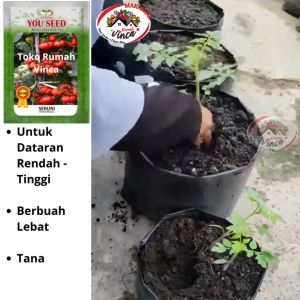 Benih bibit Tomat Ranti Mawar Tomat Keriting SERUNI Cap You Seed 200s