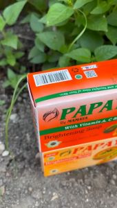 Paket Sabun Papaya Mamaya Sabun + Cream Siang Malam - Cream Sabun Pepaya Paket