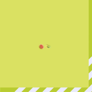 Fishermans Friend Citrus ฟิชเชอร์แมนส์ เฟรนด์ กลิ่นซิตรัส 22 กรัม [24 ซอง/1 กล่อง สีเขียวอ่อนขาว] BB 1104 Fisherman ลูกอมปราศจากน้ำตาล