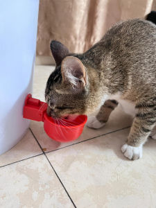 Thickened Automatic Pet Drinking Bowl Water Feeder Chicken Drinking Machine Simple Design for Cats And Dogs Pet Supplies