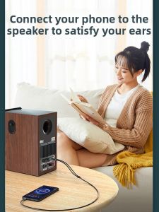 Choseal | Dây Chia Âm Thanh 3.5mm sang Dual RCA