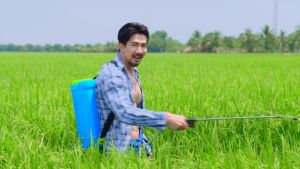 โฟร์ทรี บูสเตอร์ Booster เสริมสร้างใส 4tree ของแท้ สารเสริมประสิทธิภาพพืช อาหารเสริมพีช