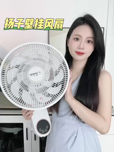 Wall Fan Inverter With Remote Punching-free Wall Fan Electric Fan With Remote Control Silent Power-saving Shaking Head Hanging Wall Fan 12 Inch Standard 12H Timing 3 Speeds Strong Wind Air Circulation Fan